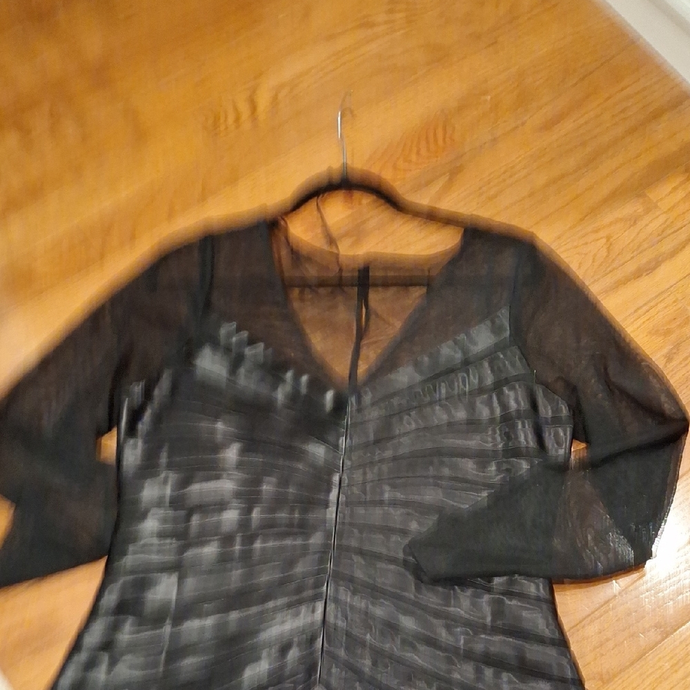 Dress Barn Black Sheer Blouse